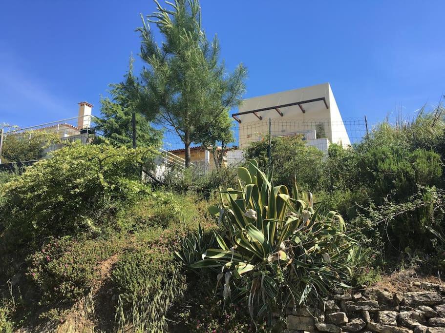A Casa Da Lua Villa Томар Екстериор снимка